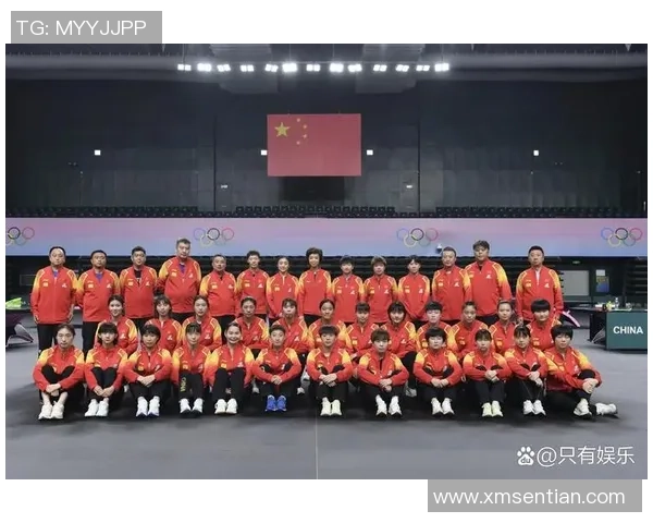 成都乒乓球队个人能力深度解析与发展潜力探讨